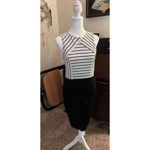 Lulu’s Bodycon Dress Size s